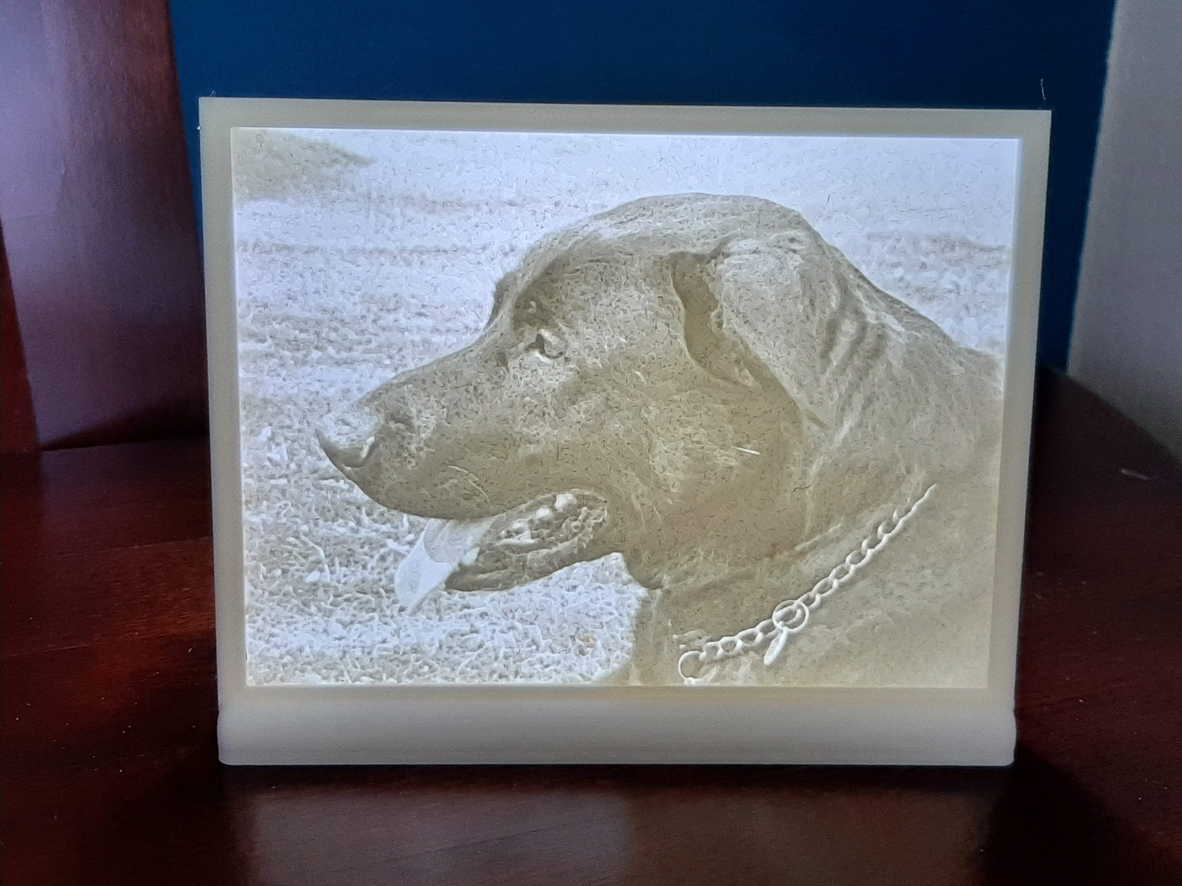 3D fotografie LITHOPHANE vel.20 cm