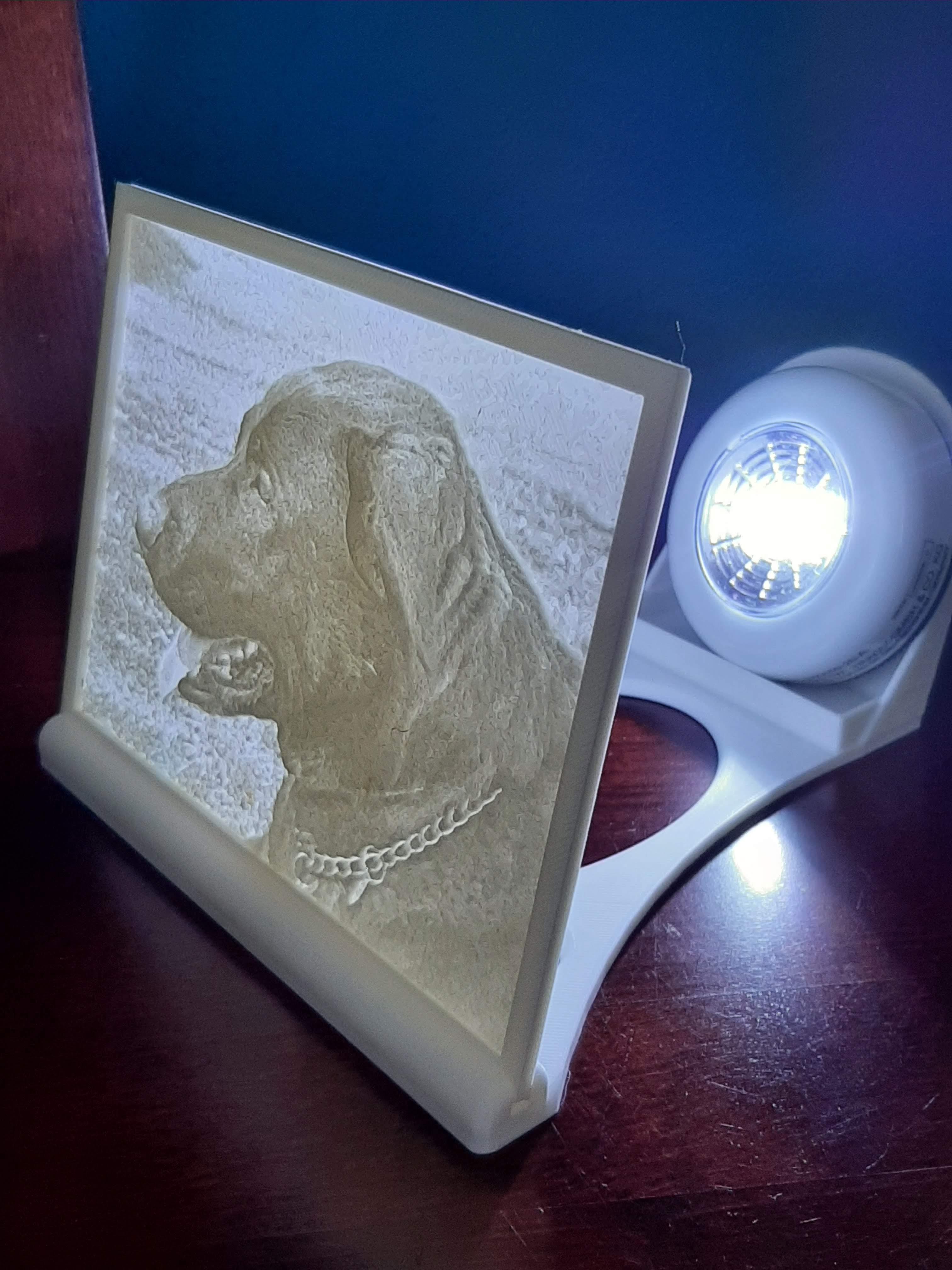 3D fotografie LITHOPHANE vel.20 cm