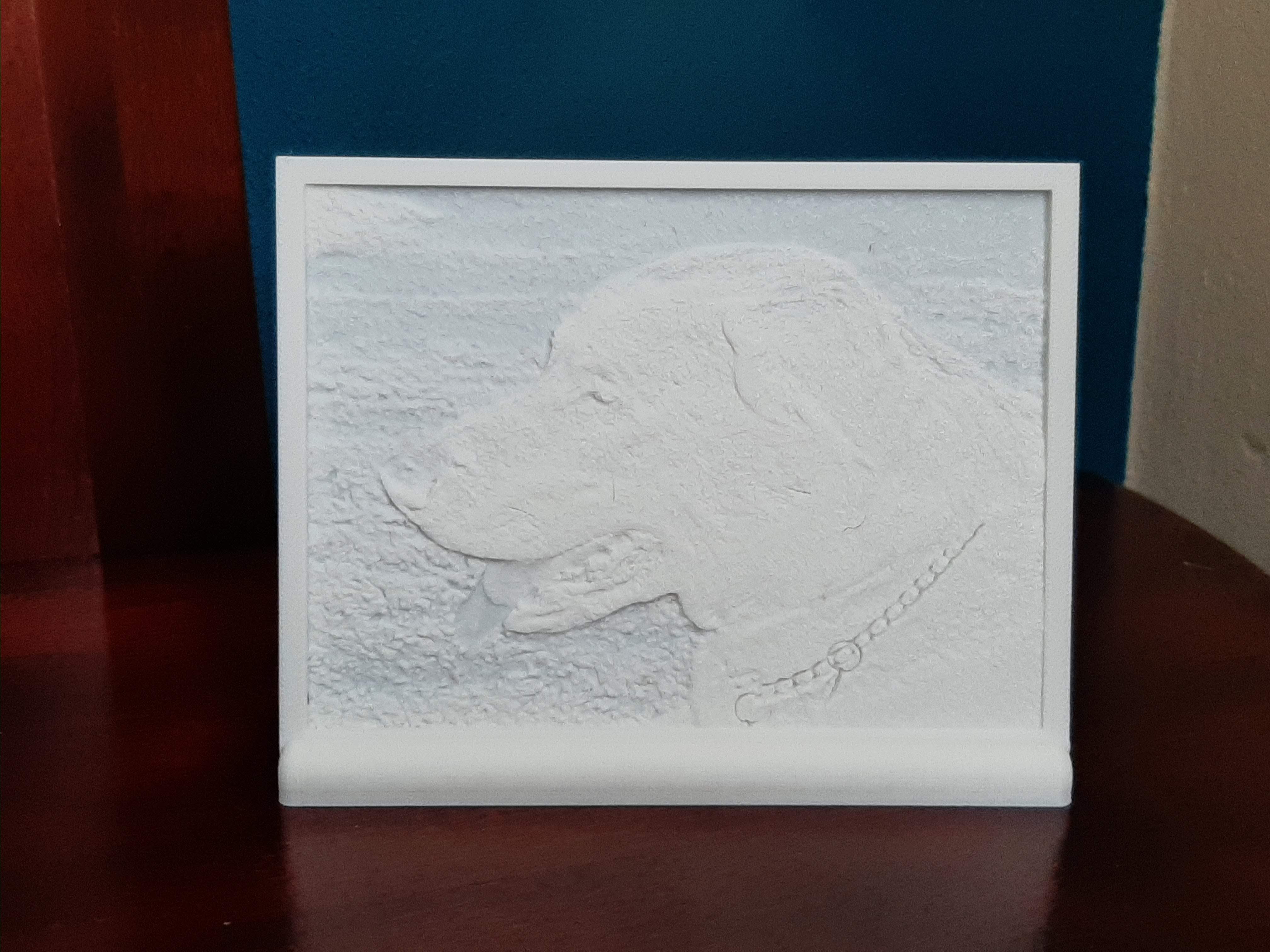 3D tisk fotografie - LITHOPHANE